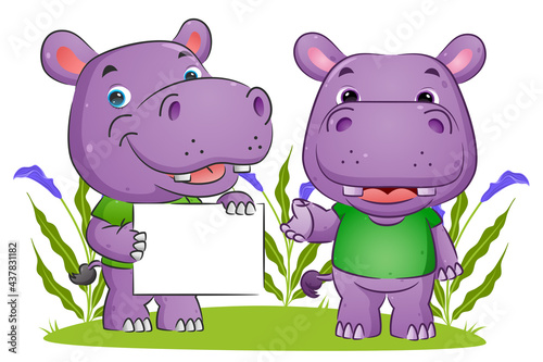 The couple of hippopotamus is holding a blank board and explaining the board