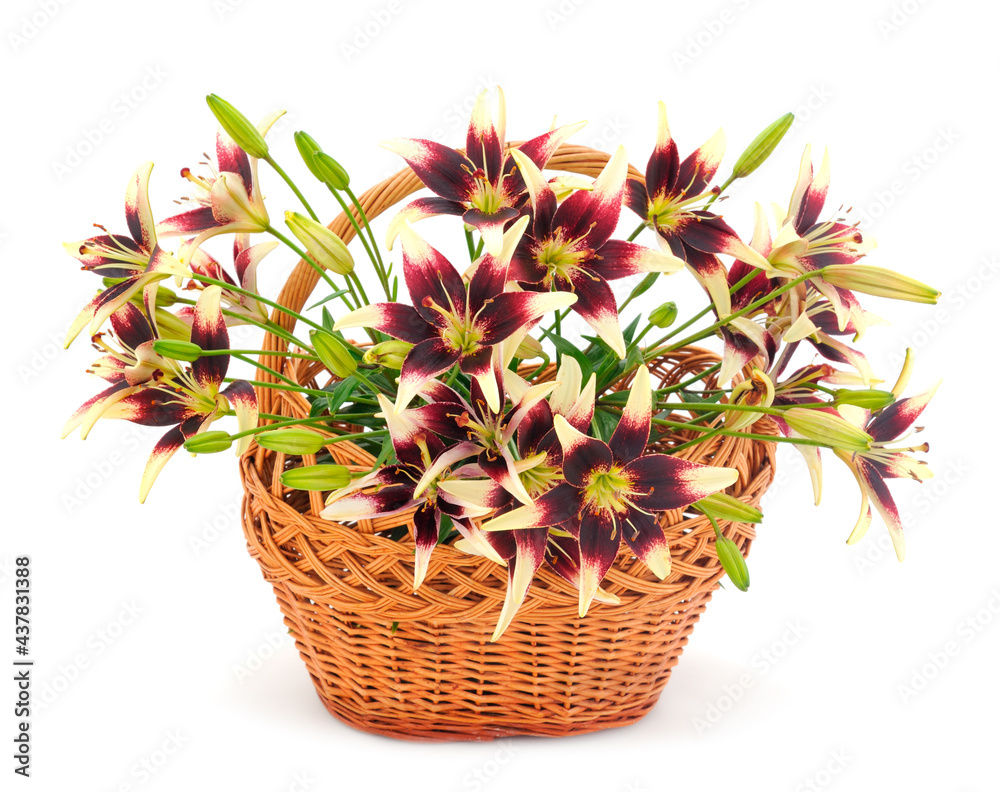 Bouquet of lilies in a gift basket.