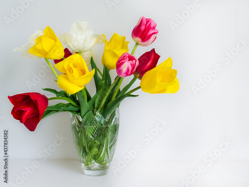 postcard. bouquet of bright tulips on a white background