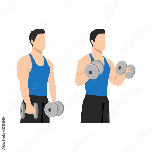 Man doing Dumbbell bicep reverse curls exercise. Flat vector illustration isolated on white background