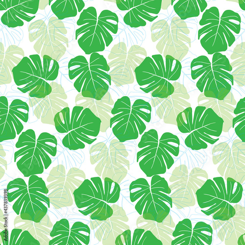Seamless pattern with Leaves monstera palm vector