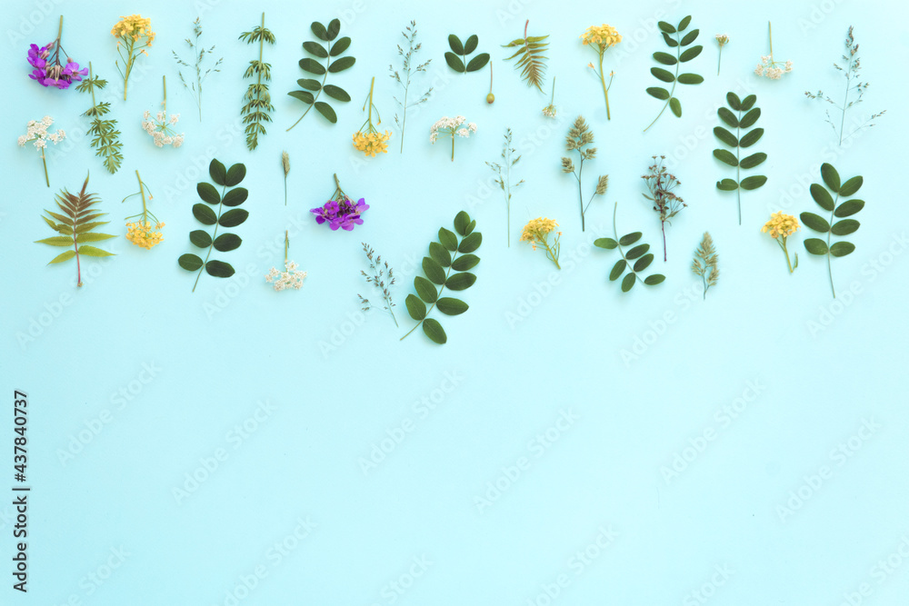 blue color background with plants and flowers, copy space, flat lay