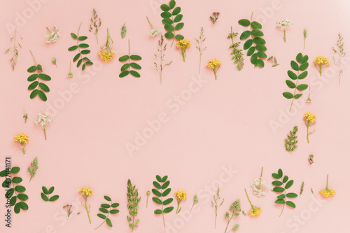 pink background with plants and flowers copy space flat lay