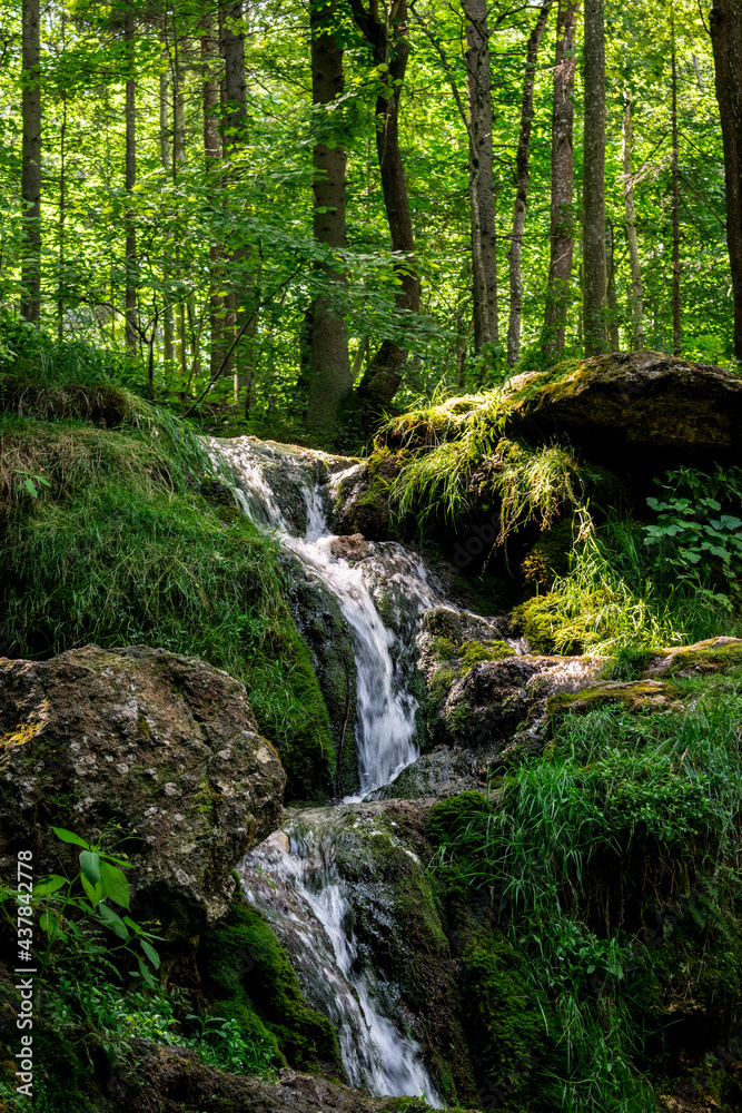 Kazu Grava waterfall in the middle of a beautiful green and lush forest illuminated by the sunlight in Latvia