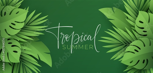 Hello Summer banner. Paper-cut green tropical leaves of palm, monstera. Summer background with tropical plant leaf. Vector illustration