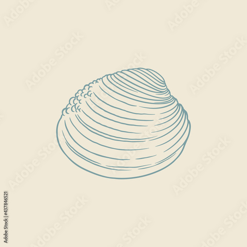 Hand drawn of blue clams. Sketch of blue clams isolated on white background.