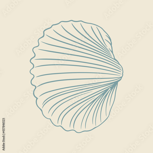 Hand drawn of clams. Sketch of clams isolated on white background.