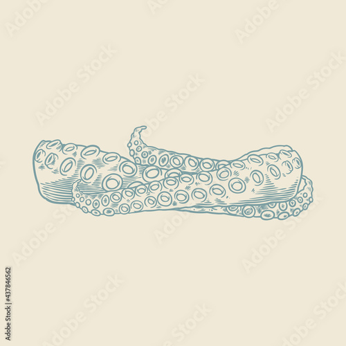 Hand drawn of blue octopus....