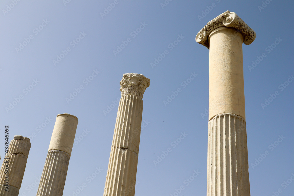columns made from white marble on archaeological site Laodicea on the Lycus in Turkey