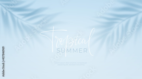 Realistic transparent shadow from a leaf of a palm tree on the blue background. Tropical leaves shadow. Mockup with palm leaves shadow. Vector illustration