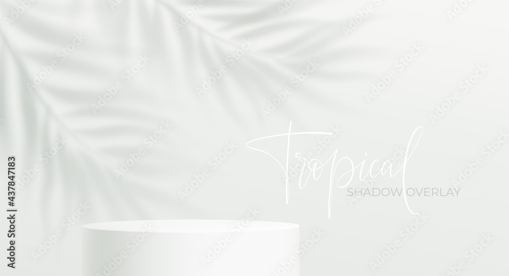 Realistic product podium and transparent shadow from palm leaf on white ...