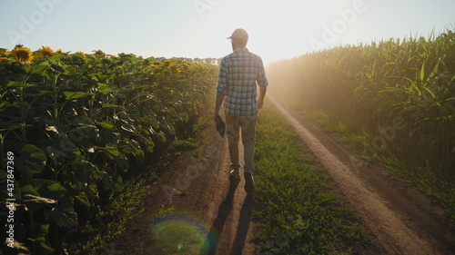 Farmer with digital tablet walking between agricultural fields