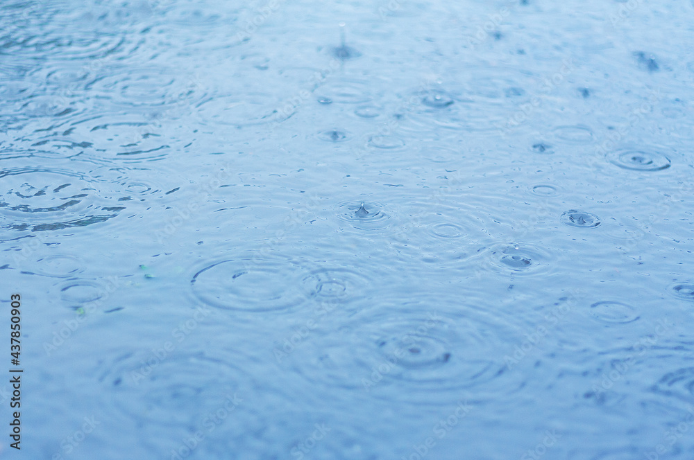Rain drops in the water. natural water background. rainy weather concept. Rain drops in the water. natural water background. rainy weather concept.