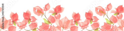 Seamless border of red bougainvillea flowers.