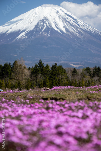 富士山のふもとのガーデン © 裕太 福原