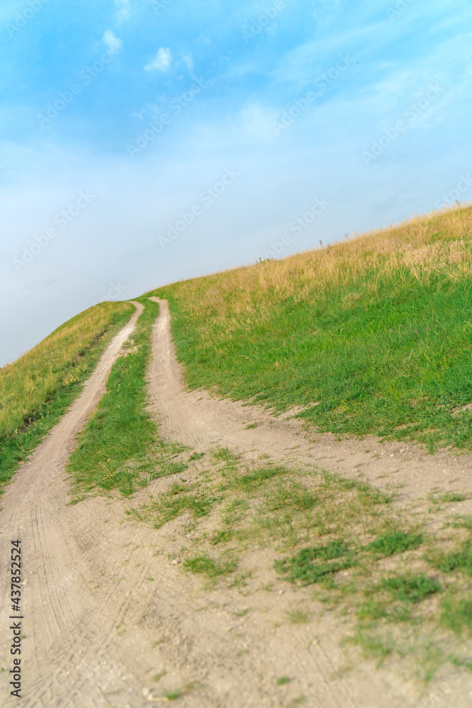 A path in the middle of green meadows, a delightful summer landscape, the nature of Russia