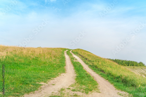 A path in the middle of green meadows, a delightful summer landscape, the nature of Russia