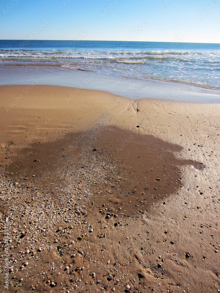 details of Mediterranean shore details of Mediterranean shore