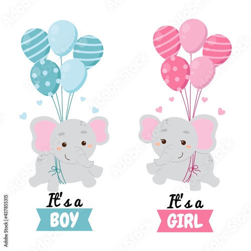 Cute baby elephant flying with balloons. Baby gender reveal clip art. Flat vector cartoon