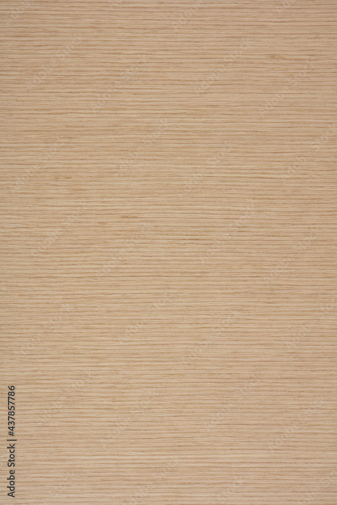 Balanced Oak veneer background in light color, texture for your individual office interior. Balanced Oak veneer background in light color, texture for your individual office interior.