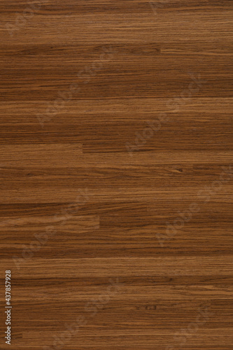 Velo Natural veneer background in exquisite brown color, texture for your new interior work.