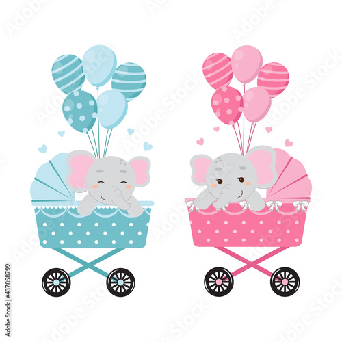 Cute elephant on baby carriage with balloons. Baby gender reveal boy or girl clip art. Flat vector cartoon