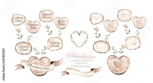 The wooden cut. Watercolour illustration isolated on white background. Watercolor Genealogical Family tree. Watercolor children's tree wooden slices.