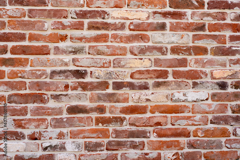 Fototapeta premium old brick wall background painted in white color red bricks
