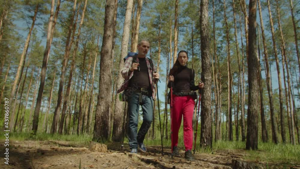Handsome gray haired middle aged tourist man and pretty adult woman carrying backpacks, choosing travel route and pointing with hiking poles at direction while active hiker couple trekking in nature. Handsome gray haired middle aged tourist man and pretty adult woman carrying backpacks, choosing travel route and pointing with hiking poles at direction while active hiker couple trekking in nature.