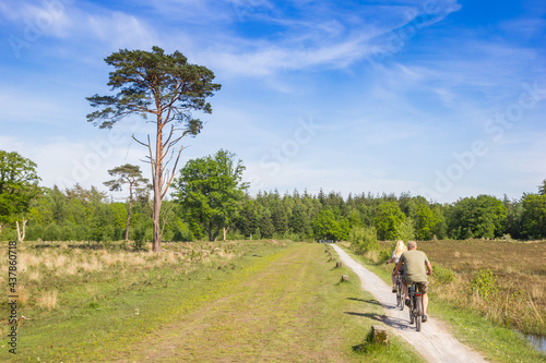 People riding their bicycles in the heather fields of Drenthe, Netherlands