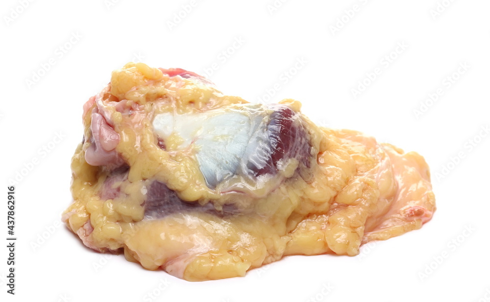 Raw turkey stomach with fat, gizzard isolated on white background Raw turkey stomach with fat, gizzard isolated on white background