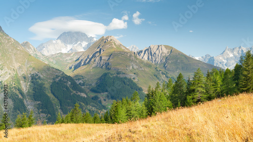 The summit of Monte Bianco (White Mountain) covered by a white cloud, Aosta Valley, Italy. On the foreground, a dry yellow field and a line of green trees.