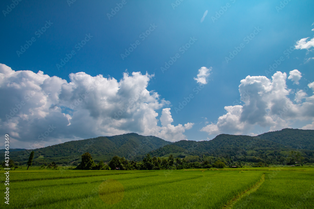 Good atmosphere with beautiful nature Good atmosphere with beautiful nature