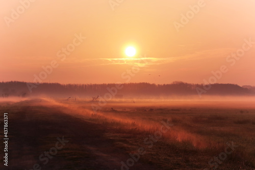 Moorlandschaft im Nebel mit Sonnenaufgang