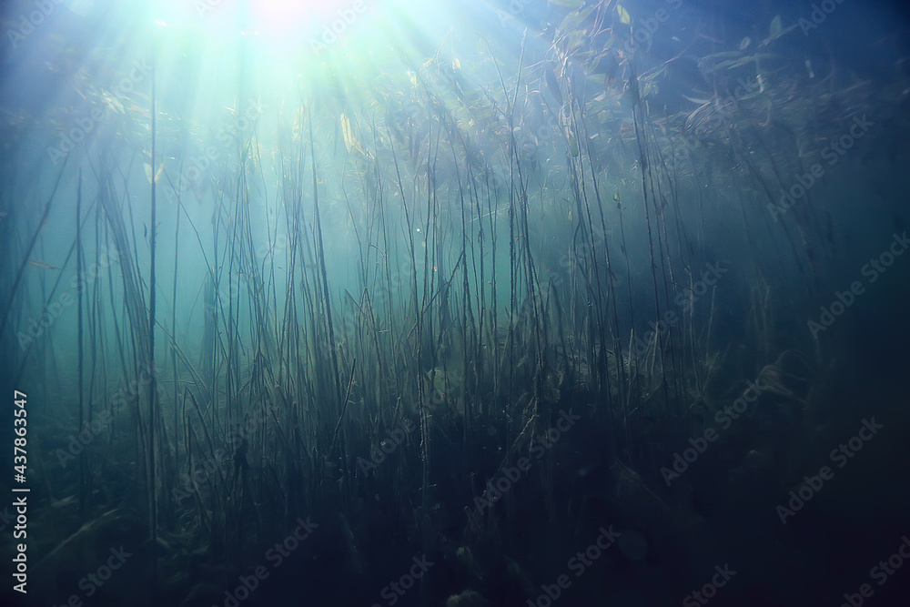 Fototapeta premium lake underwater landscape abstract / blue transparent water, eco nature protection underwater