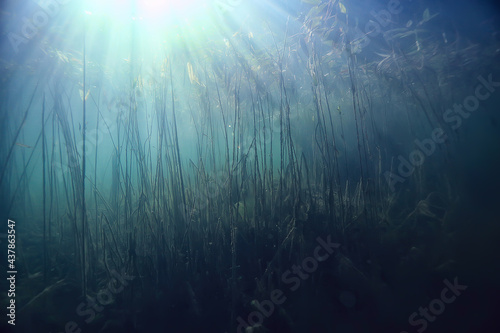lake underwater landscape abstract / blue transparent water, eco nature protection underwater photo
