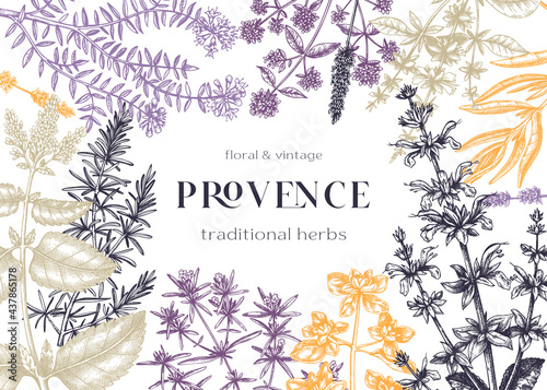 Traditional Provence herbs frame design. Vector frame with savory, marjoram, rosemary, thyme, oregano, lavender illustrations. Hand-sketched kitchen herbs, aromatic and medicinal plants