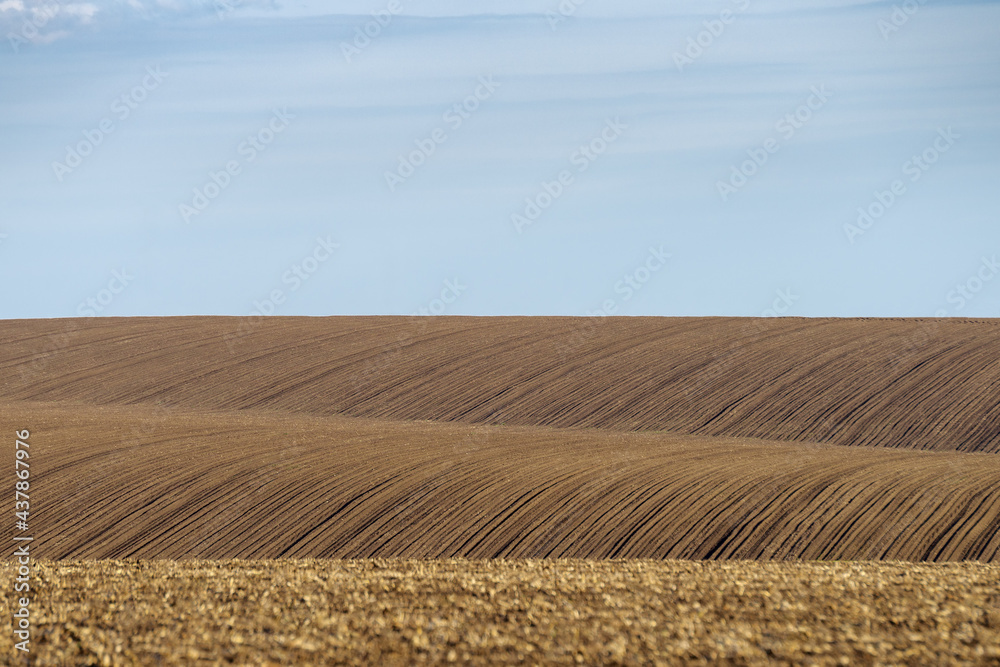 Plowed field on hills, Ukraine