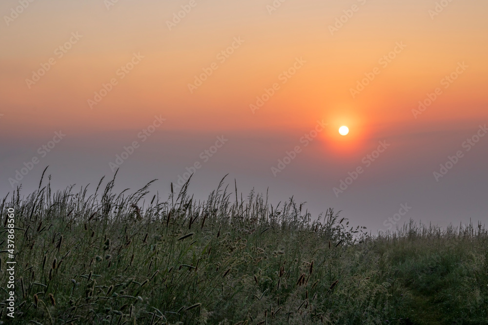 sunrise over the field