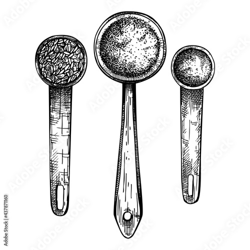 Hand-sketched ingredients in spoons collection. Vector illustrations of aromatic materials. For aromatherapy, candle or soap making, perfumery and cosmetics.