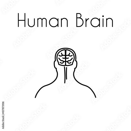 Human brain linear medical icon with text. Abstract vector illustration of brain in the head. Design template for medicine or therapy for headache, brain diseases or education