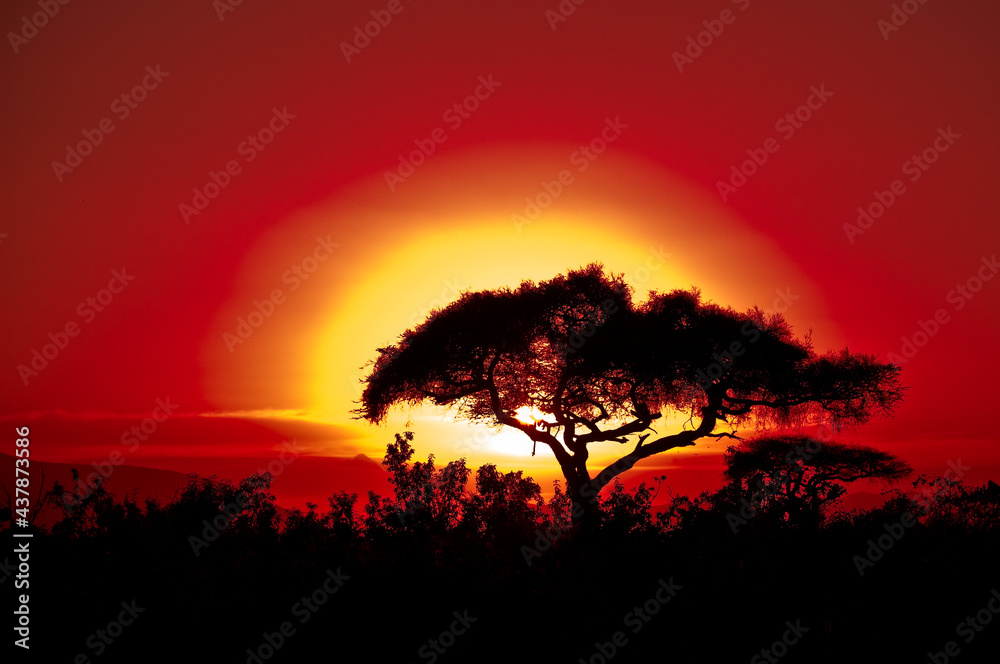 Sunset on a safari in Africa Kenya