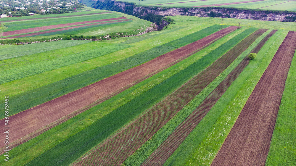 view of a country agricultural landscape