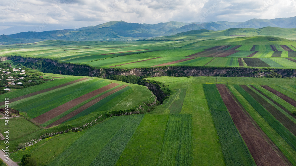 Fototapeta premium view of a country agricultural landscape