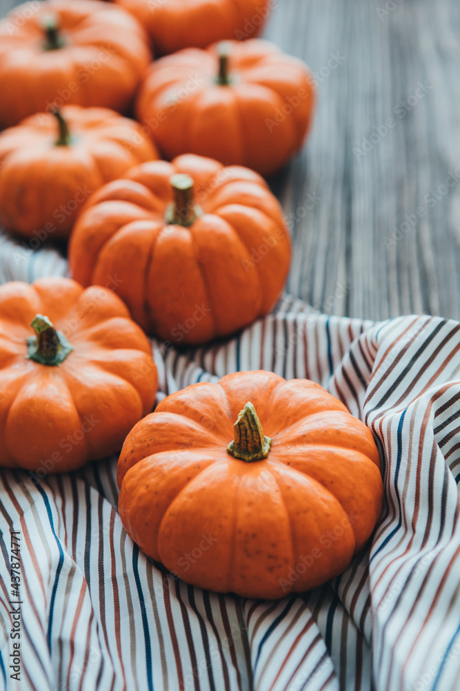 Autumn composition of miniature decorative pumpkins on a wooden table. Autumn composition of miniature decorative pumpkins on a wooden table.