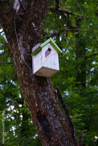 wooden breeding box on tree for young small birds