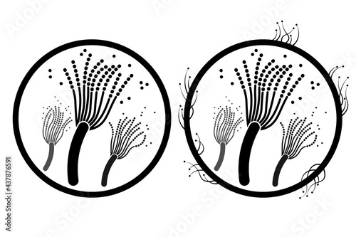 Black mold, fungus, covid-19 virus. Logo, sign. Vector isolated