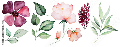Watercolor pink and purple flowers and green leaves Illustrations