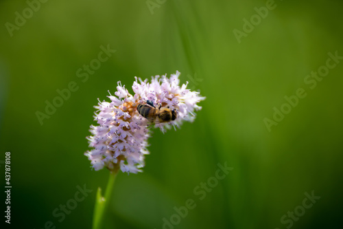 Fotokunst für Wandbilder - Natur und Landschafts Fotos kaufen photo