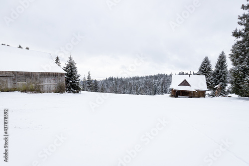 Zimowy krajobraz górski w Polsce. Drewniana chata w zaśnieżonym lesie.
